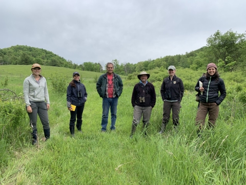 Group of six people standing in a grassy field surveying for golden-winged warblers