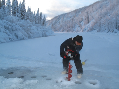 Hydrologist using an auger on ice in winter, during stream gauge monitoring.