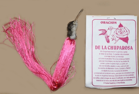 Dead hummingbird with long pink tassel attached, next to bag that says "Oracion/ DE LA CHUPAROSA" above smaller text