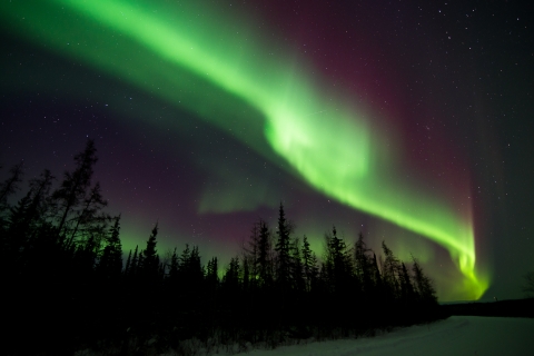 A vivid green streak of light across the sky marks the Northern Lights - the aurora borealis - over Koyukuk National Wildlife Refuge in Alaska.