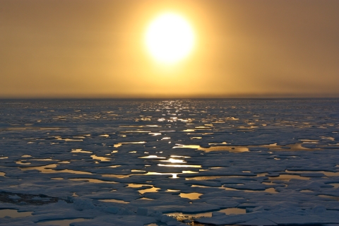 Low sun over patchwork of ice and open water on Beaufort Sea.