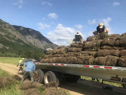 People unload rolls of matting from a truck bed into a field.