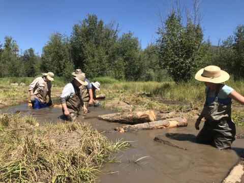 A group of people in sunhats and waders move through a muddy stream.