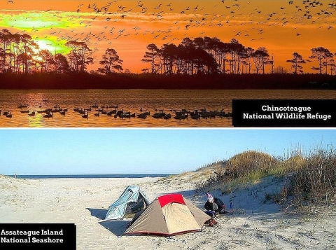 Two-photo collage. Top: Brilliant orange sky at sunset over a wetland full of rest and flying birds and bordered by trees. Bottom: Two tents on a sandy beach next to dunes with a sliver of the ocean in sightth 