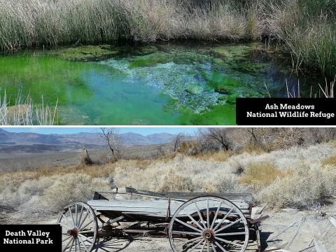 Two-photo collage. Top: A spring-fed aqua-blue-and-green pool in a desert setting. Bottom: An antique wooden wagon in a desert setting.