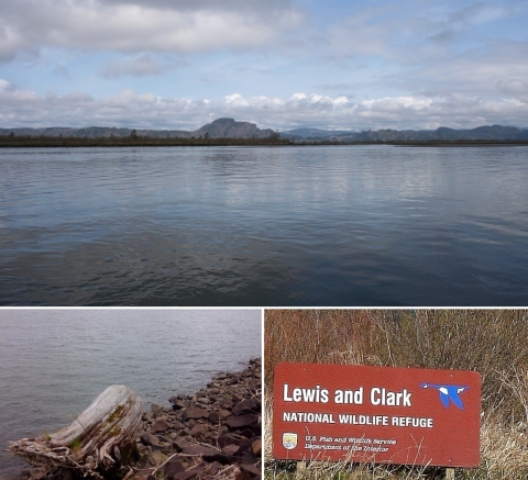 A three-photo collage: A sign reading "Lewis and Clark National Wildlife Refuge," a wide view of the Columbia River with mountains in the background, and driftwood along a rocky bank of the river