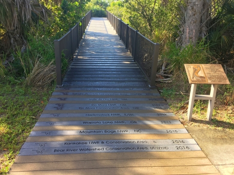 A boardwalk trail with the name of one national wildlife refuge on each of its planks. The trail leads into a wooded wetland. 