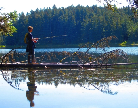A young man fishing while standing on a log that has fallen into a lake