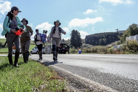 Four people walk along a road carrying equipment