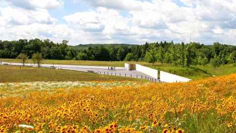 wildflowers in field above memorial