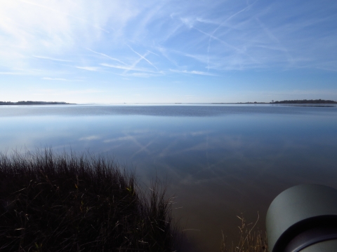 Glassy water with wispy clouds and jet contrails reflected in the water's surface. In the bottom right corner the end of a spotting scope looks out over the water. Spiky reeds fill the bottom left corner of the frame.