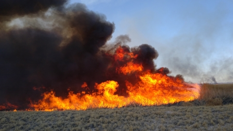 a controlled burn in a field