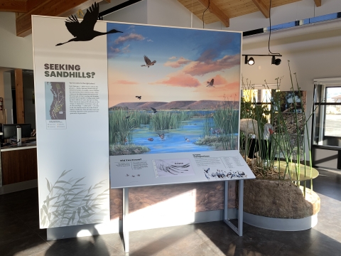 Interpretive exhibit depicting wetlands and wildlife at the Modoc Visitor Center. 