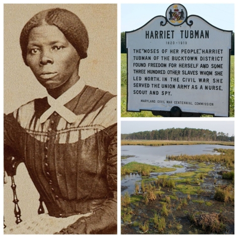 A photo collage shows a young Harriet Tubman, a historical marker about her, and a view of Blackwater Refuge.