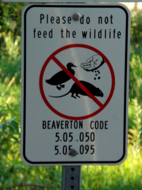 A white sign displays the message, "Please do not feed the wildlife".