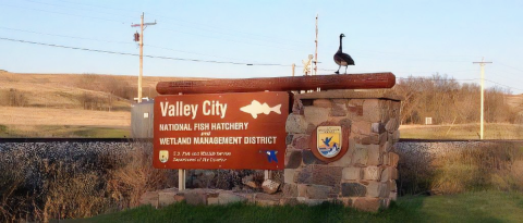 Goose Standing on Valley City Management District's Sign