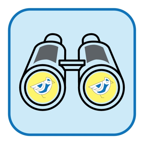 Icon of a pair of binoculars with reflections of birds in the lenses.