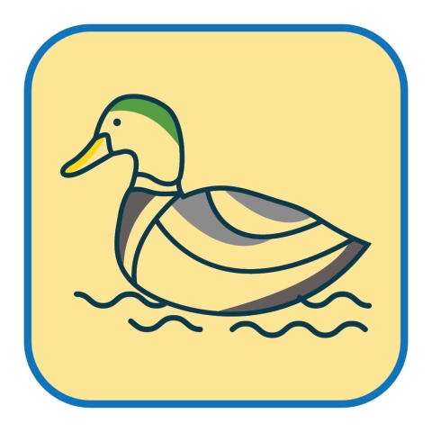 Icon of a mallard duck