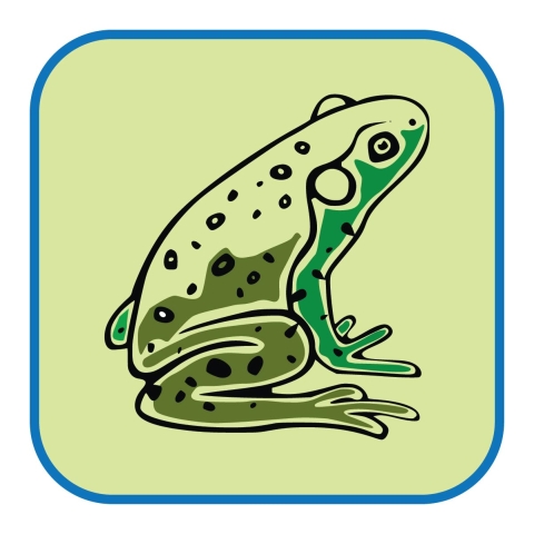 Icon of a frog