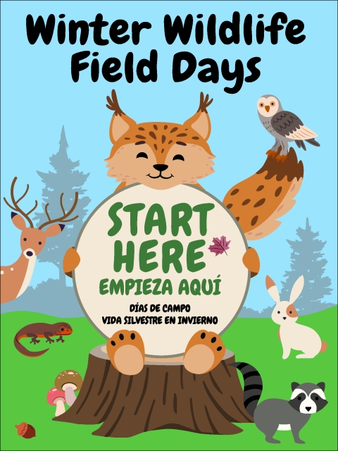 Winter Wildlife Field Days poster with graphics of woodland creatures surrounding text reading "Start Here, Empieza Aqui, Dias de Camp Vida Silvestre en Invierno"