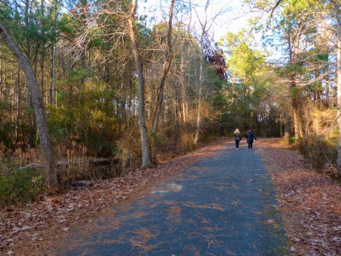 Two people walk along a wooded path