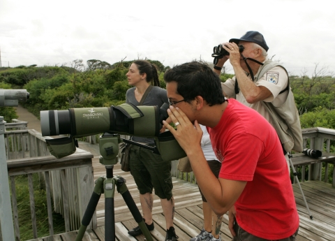 People on an observation platform looking through binoculars and a spotting scope