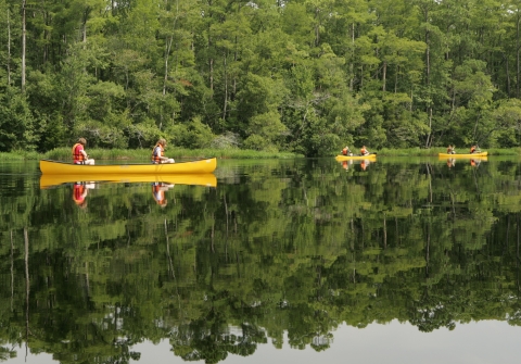Canoers paddle across a glassy pond through the reflection of a forest
