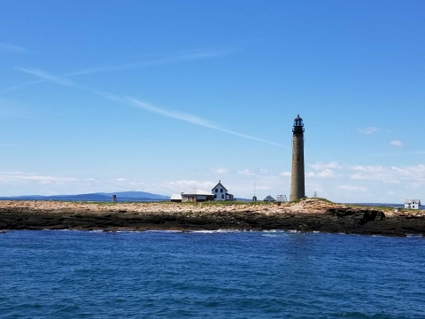 Island with lighthouse and small house