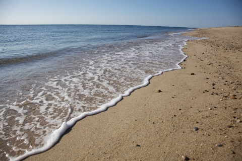 Stones dot a sandy beach along the shoreline.