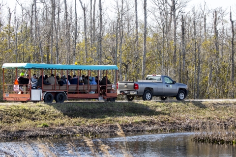 A USFWS pick-up pulls an open-air tram filled with visitors along a dike road