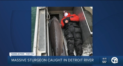 a person in a red coat and black pants lying next to a 240 Lake sturgeon-fish
