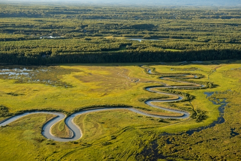a sinuous tidal creek from overhead