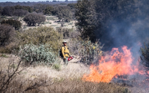 firefighter near flames in shrubby field