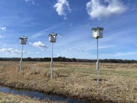 3 bird house units on poles, in a field, blue sky above