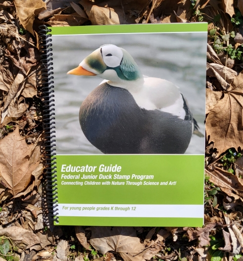 Photo of Junior Duck Stamp Curriculum Guide