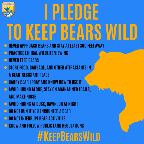 List of 10 ways to keep bears wild