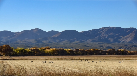A distant view of the mountains with prairie in the foreground.