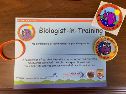 Biologist in Training materials 