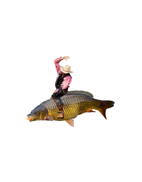 Photoshopped image of a man riding a carp