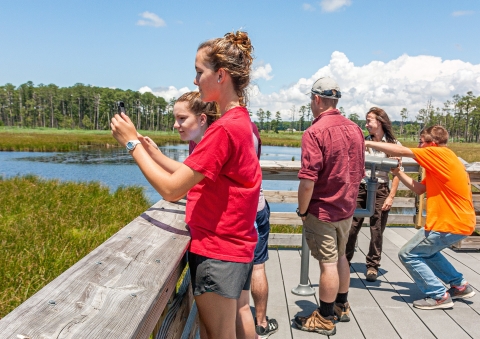 Four visitors and a U.S. Fish and Wildlife Service employee on a deck overlooking a marsh. Two visitors are using their cameras.