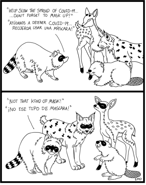 Comic of a racoon speaking to other forest animals saying "Help slow the Spread of Covid-19, Don't Forget to mask up!." In the next panel, the animals are all wearing raccoon like masks and the raccoon saying "Not that kind of mask!" 