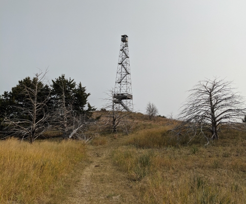 Hackberry Trail and fire tower at Valentine NWR