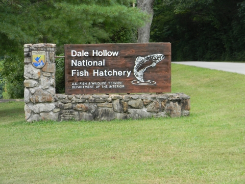 Dale Hollow NFH entrance sign