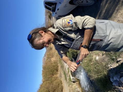 Biologist pit tagging a fish