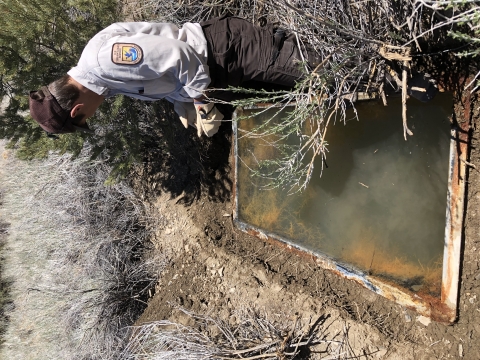 USFWS biologist inspecting an artificial spring (guzzler)
