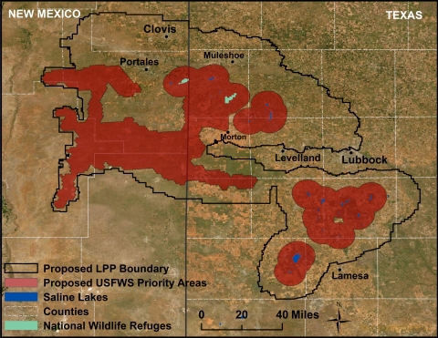 a map shows the area of north Texas and eastern New Mexico with proposed boundaries around the plan area, and the proposed priority areas as a buffer from refuge lands and saline lakes. 