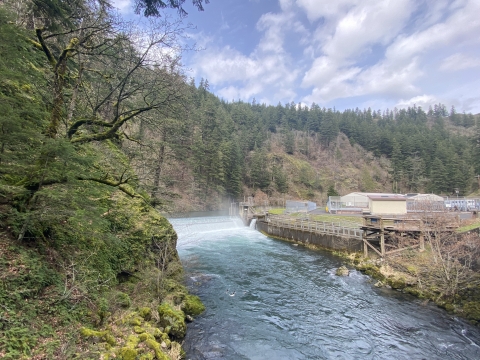 Scenic image of Little White Salmon National Fish Hatchery, which has been in continuous operation since 1896