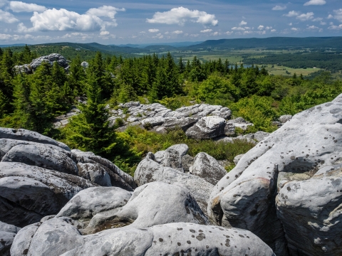 View of Canaan Valley from rock cropping