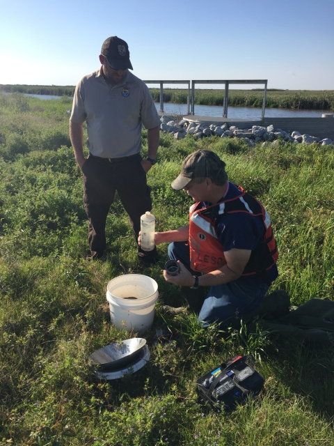 At-Risk Species Sampling in Coastal Louisiana