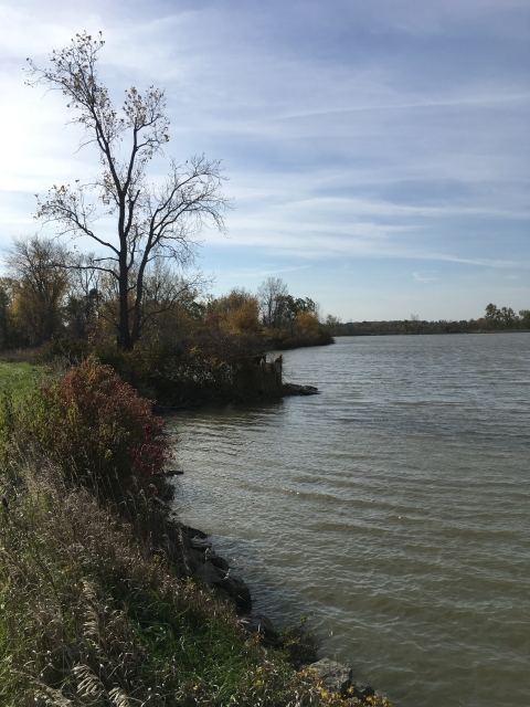 Ottawa River, Toledo, Ohio